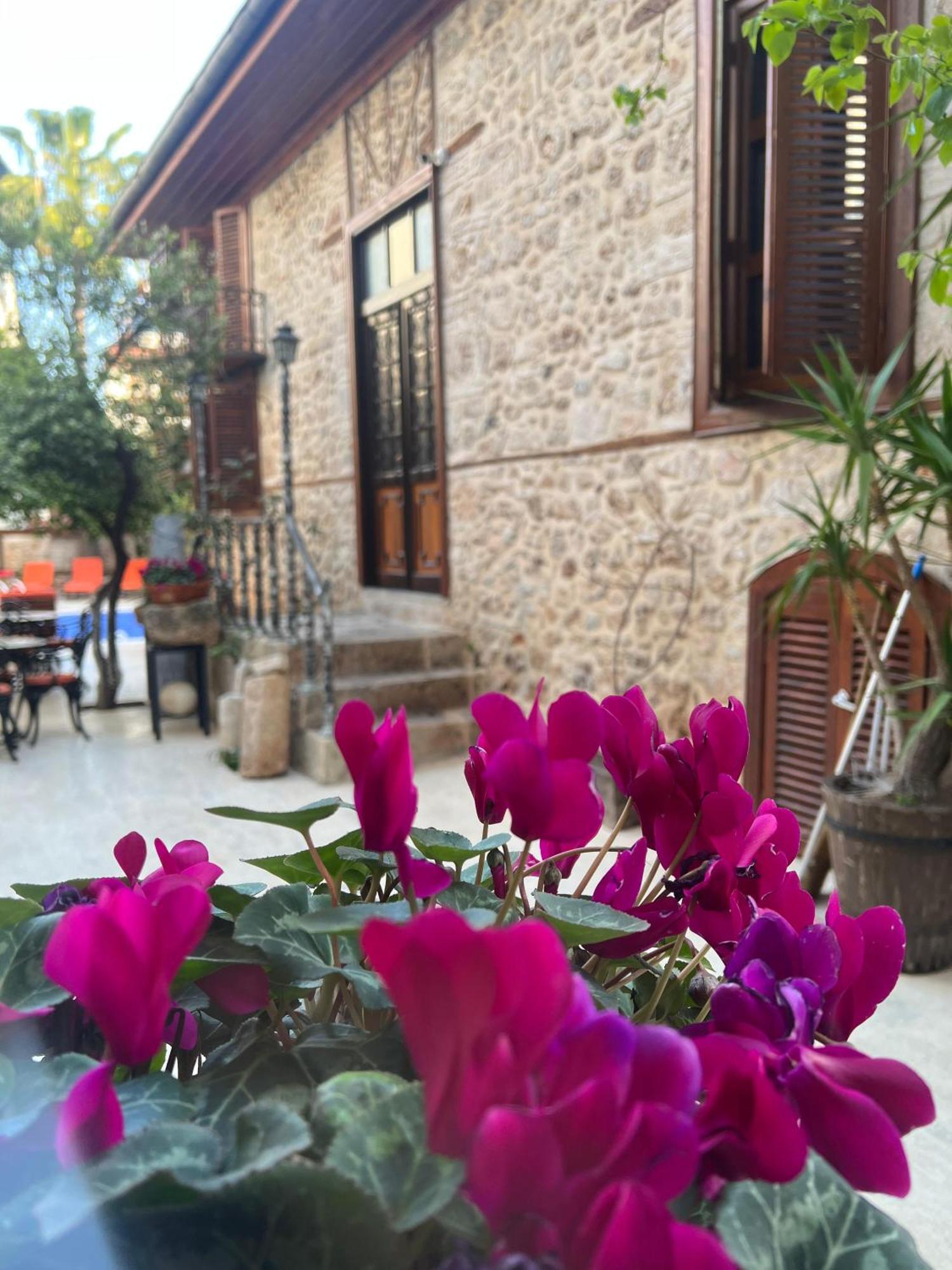 Готель White Garden Hotel-adult Only